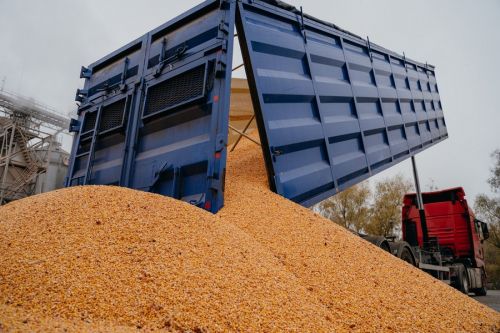 Аграрії сусідніх країн проти українського зерна — дайджест Аграрії сусідніх країн проти українського зерна — дайджест