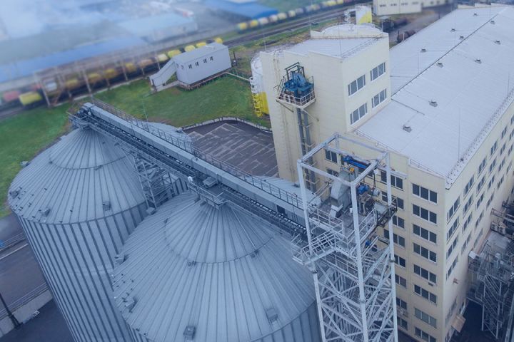 Оптимус Агро: как производят подсолнечное масло на Запорожском МЭЗе