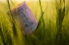 Як працюють українські зернотрейдери за воєнних умов