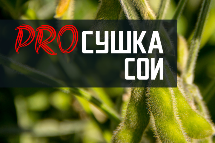 ProСушка: Как сушить сою